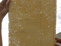 CIMG0366
